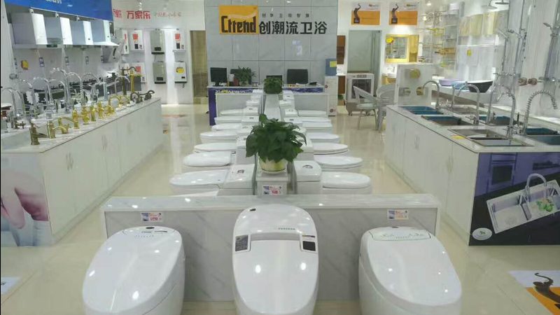 2025智能马桶盖：揭秘十大品牌背后的技术奥秘